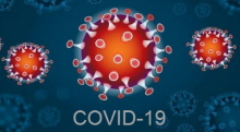 covid-19.jpg - 32.68 KB